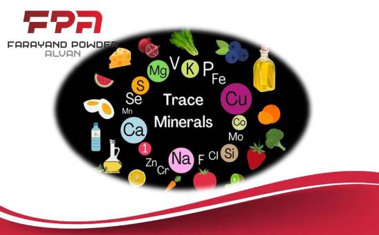 most important minerals for the body